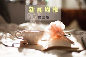 新闻周报（第三期）