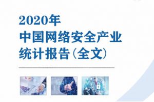 《2020年中国网络安全产业统计报告》（全文）
