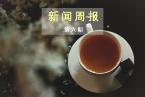 新闻周报（第六期）