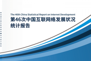 第46次中国互联网络发展状况统计报告