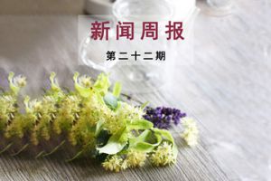 新闻周报（第二十二期）