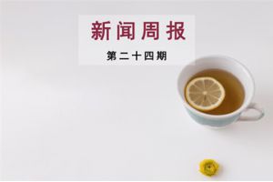 新闻周报（第二十四期）