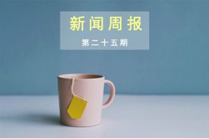 新闻周报（第二十五期）