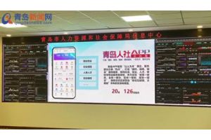 【图片新闻】山东青岛人社APP全新改版 智慧服务尽在指尖