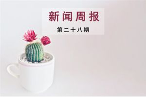 新闻周报（第二十八期）