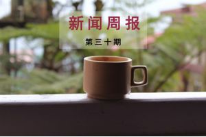 新闻周报（第三十期）