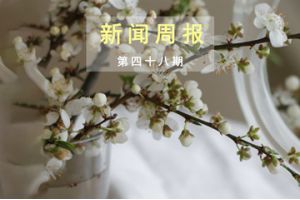 新闻周报（第四十八期）