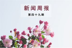 新闻周报（第四十九期）