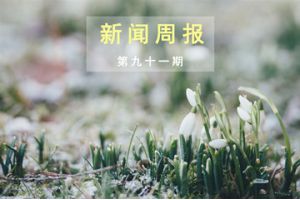 新闻周报（第九十一期）