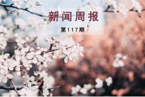 新闻周报（第117期）