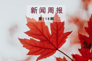 新闻周报（第118期）