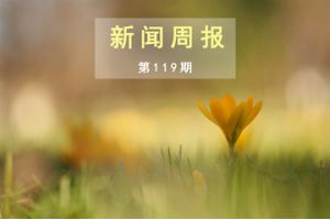 新闻周报（第119期）