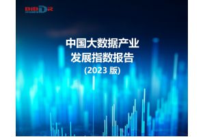 中国大数据产业发展指数报告（2023版）