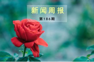 新闻周报（第186期）