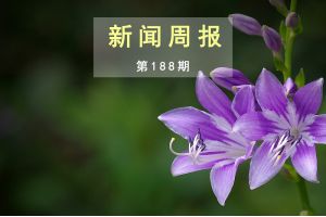 新闻周报（第188期）