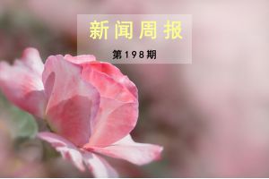 新闻周报（第198期）