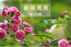 新闻周报（第200期）