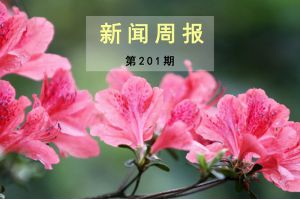 新闻周报（第201期）