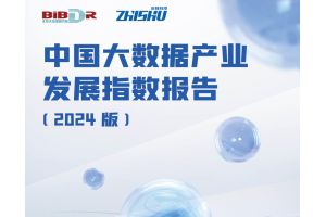 中国大数据产业发展指数报告（2024版）