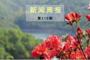 新闻周报（第210期）