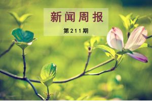 新闻周报（第211期）