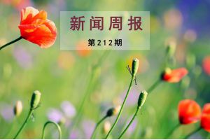 新闻周报（第212期）