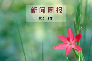 新闻周报（第213期）