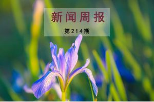 新闻周报（第214期）