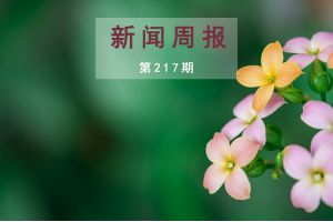 新闻周报（第217期）