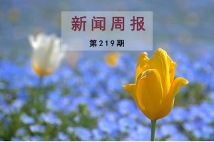 新闻周报（第219期）