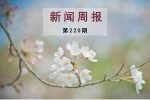 新闻周报（第220期）