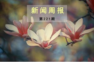 新闻周报（第221期）