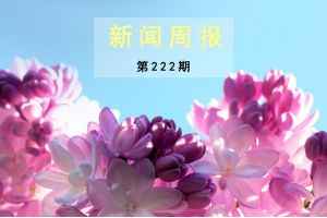 新闻周报（第222期）