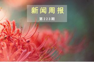 新闻周报（第223期）