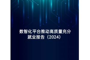 数智化平台推动高质量充分就业报告（2024）