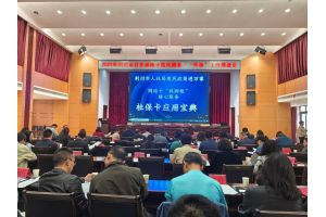 【图片新闻】社保卡“小卡片”激活“大民生” ——湖北恩施利川人社三箭齐发惠民生