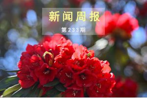 新闻周报（第233期）