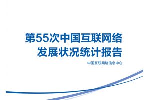 第55次中国互联网络发展状况统计报告