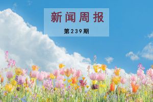 新闻周报（第239期）