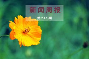 新闻周报（第241期）