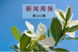 新闻周报（第242期）