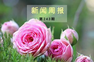 新闻周报（第243期）