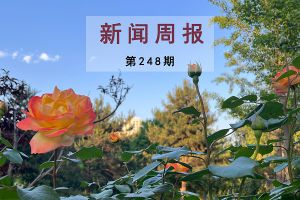 新闻周报（第248期）